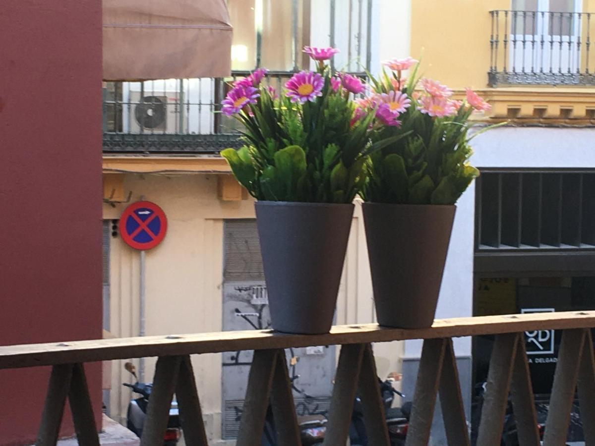 Apartament Jimios Alcazar Catedral Sewilla Zewnętrze zdjęcie